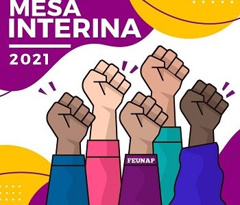 UNAP:  Una crisis anunciada