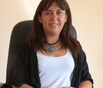 PS inicia proceso para elección presidencial y búsqueda de candidatos parlamentarios y al Consejo Regional