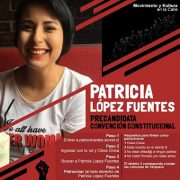 Conoce los nombres de los 58 candidatos constituyentes independientes que buscan patrocinio para postular