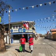 Zona rural de Pozo Almonte avanza a Transición en plan Paso a Paso. Radio urbano se mantiene en cuarentena.
