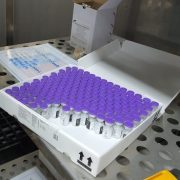 Remesa de vacunas Pfizer llega a Tarapacá. Inmunización está orientada a trabajadores de la educación
