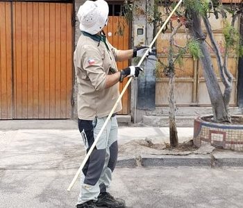 SAG instala por primera vez en la región confusores sexuales para control de polilla del racimo de la vid 