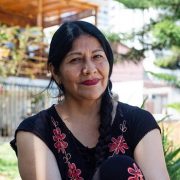 “Me cuesta creerte” respondió por twitter Convencional Alejandra Flores a Hernán Larraín quien suscribió carta por reencuentro con pueblos originarios.