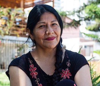 “Me cuesta creerte” respondió por twitter Convencional Alejandra Flores a Hernán Larraín quien suscribió carta por reencuentro con pueblos originarios.