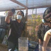 Técnicas de compostaje y lombricultura para huertos familiares aprendieron vecin@s de El Boro, gracias a proyecto medioambiental