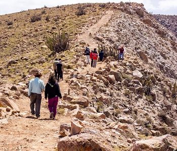Habilitan sendero y mirador Condoriri en Camiña que beneficiará a potenciales 20 operadores en sector de Nama.