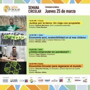 Con proyecto «Juntos por la Tierra» del actor y publicista ecuatoriano, continúa la Semana Circular Tarapacá 2021