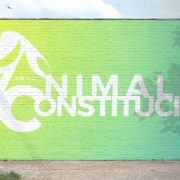 Más de 300 candidatos constituyentes se han adherido a la campaña #AnimalesEnLaConstitución