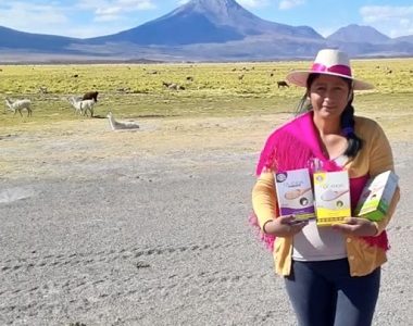 ExpoQuinua, la feria digital en línea implementada por INDAP, se desarrolla en su fase final