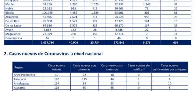 Tres nuevos decesos se registraron en la última jornada en Tarapacá y 160 contagios por Covid