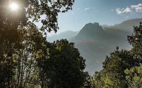 Día de la Diversidad Biológica bajo el lema «Soy parte de la solución» apunta a desafíos de la conservación de tierras