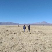 Migrante venezolana de 59 años muere en la frontera, cuando trataba de ingresar al país, por Colchane
