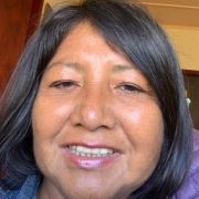 Pueblos originarios y descentralización