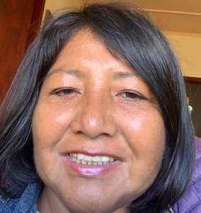 Pueblos originarios y descentralización