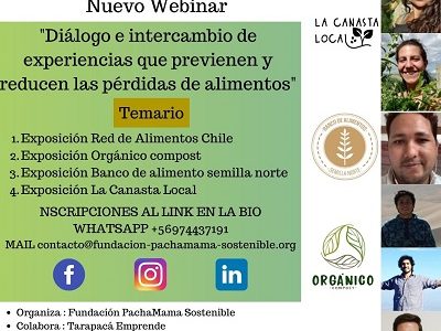 Webinar sobre experiencias que previenen y reducen pérdidas de alimentos, incorpora experiencia de Iquique y A. Hospicio