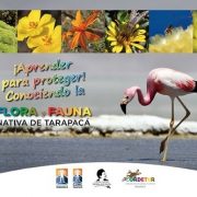 Inauguran exposición de Flora y Fauna Nativa en Colegio Bajo Molle para continuar con itinerancia en otros establecimientos