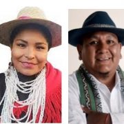 Constituyentes de las Primeras Naciones piden renuncia de secretario ejecutivo de la Convención, por incumplimiento y vulneraciones