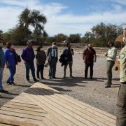 Consejeros regionales inspeccionan obras de reforestación del tamarugos en la Pampa del Tamarugal