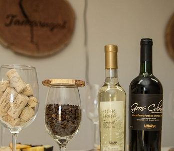 Con gastronomía con identidad local UNAP reabre sus puertas en la Pampa del Tamarugal para la ruta del vino