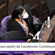 Convencional Alejandra Flores: “En dictadura fui presa política y liberada sin cargos. No es posible que esto ocurra en democracia”