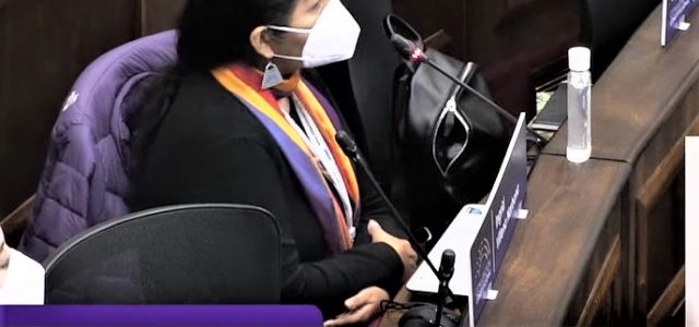 Convencional Alejandra Flores: “En dictadura fui presa política y liberada sin cargos. No es posible que esto ocurra en democracia”