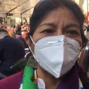 Alejandra Flores por Presidencia de Convención: “Valoro reconocimiento a pueblos originarios “históricamente postergados, olvidados y discriminados”