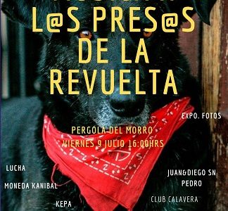 Bandas rockeras convocan a tocata por libertad de presos de la revuelta bajo consigna, “Iquique se encuentra y no se rinde”