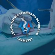 Colegio Médico Veterinario a través de su Comisión de Tenencia Responsable de Mascota rechaza cirugías estéticas practicadas a los animales