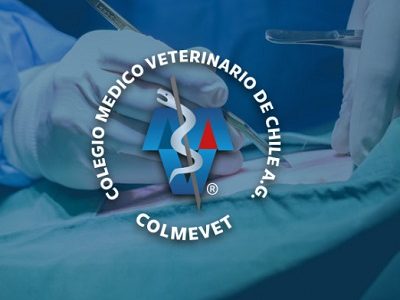 Colegio Médico Veterinario a través de su Comisión de Tenencia Responsable de Mascota rechaza cirugías estéticas practicadas a los animales
