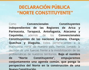 Convencionales nortinos conforman bloque común «Norte Constituyente» para representar mejor intereses regionales
