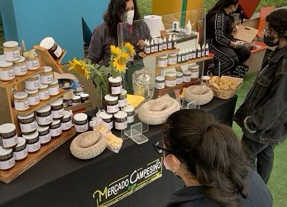 Convenio Indap – Zofri permite reapertura del Mercado Campesino que funcionará la primera semana de cada mes