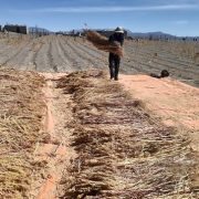 Oficina de Iniciativas Territoriales  de la UNAP ofrecen un espacio de apoyo a las pymes y facilita apoyo para sus proyectos en El Tamarugal