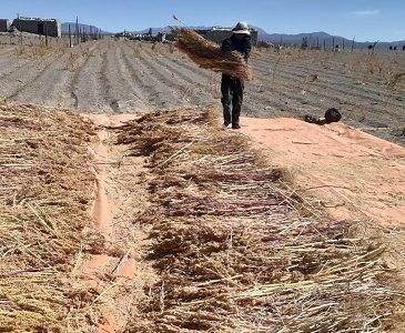 Oficina de Iniciativas Territoriales  de la UNAP ofrecen un espacio de apoyo a las pymes y facilita apoyo para sus proyectos en El Tamarugal