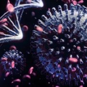 Variantes y Vigilancia Genómica en Chile: una Aguja en un Pajar