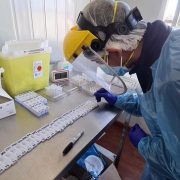 Confirman dos casos Delta en Tarapacá. Personas asintomáticos que permanecen en residencia sanitaria, al igual que tres contactos estrechos