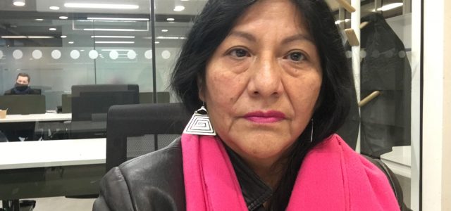 Convencional independiente Alejandra Flores es partidaria de plebiscitos dirimentes para que, en temas controversiales, decida la ciudadanía