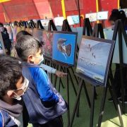 Expo itinerante «Flora y Fauna Nativa de Tarapacá» retorna establecimientos educacionales y llega a Colegio Diego Portales de Alto Hospicio
