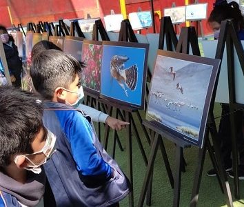 Expo itinerante «Flora y Fauna Nativa de Tarapacá» retorna establecimientos educacionales y llega a Colegio Diego Portales de Alto Hospicio