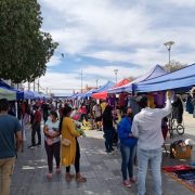 Positiva evaluación realizan pozoalmontinos tras el regreso de la “Feria de Las Pulgas”