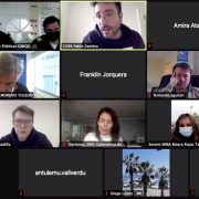 Realizan mesa de trabajo virtual para analizar la situación de daño ecológico, y las posibles causas del deceso de más de 180 aves, en sector de Playa Brava