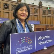 Constituyente Alejandra Flores responde a tuit de presidente Piñera: “Es terrible decir que usted miente, pero así es”.