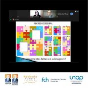 Proyecto “Fortalecimiento de Capital Humano Avanzado Técnico Pedagógico en Matemáticas, Ciencia y Tecnología”, presenta principales hitos