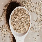 Universidad Arturo Prat se adjudica fondos para estudios sobre desarrollo agrícola y producción de quinua