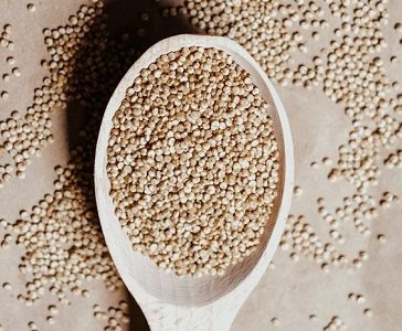 Universidad Arturo Prat se adjudica fondos para estudios sobre desarrollo agrícola y producción de quinua