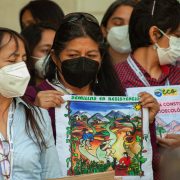 De ahora en adelante Convención y sus Comisiones, deberán escribir la Constitución bajo resguardo a la naturaleza
