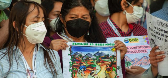 De ahora en adelante Convención y sus Comisiones, deberán escribir la Constitución bajo resguardo a la naturaleza