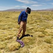 Poblador de Colchane denuncia que paso de migrantes daña patrimonio natural e histórico de ese territorio ancestral
