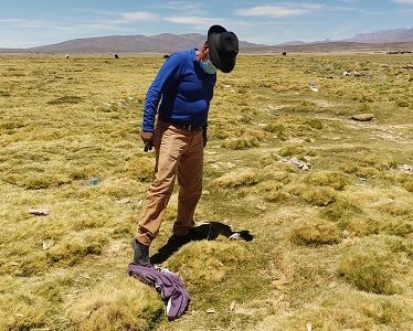 Poblador de Colchane denuncia que paso de migrantes daña patrimonio natural e histórico de ese territorio ancestral