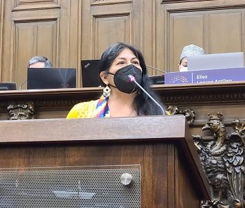 CC Alejandra Flores: «Que la columna vertebral de la nueva Constitución sean los DDHH en toda su integralidad»