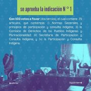 Constituyente Alejandra Flores rechaza «debate injurioso propiciado por la derecha”, en discusión del Reglamento de Participación y Consulta Indígena
